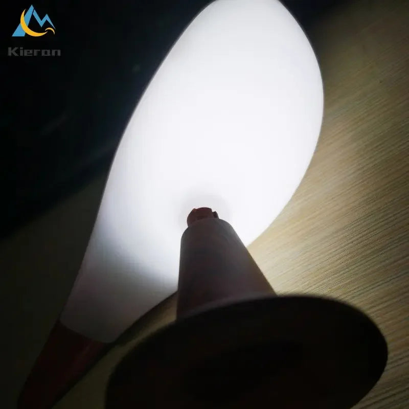 TouchBird LED Desk Light